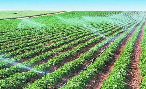欧美脱光干逼网农田高 效节水灌溉
